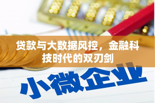 雨花贷款与大数据风控，金融科技时代的双刃剑