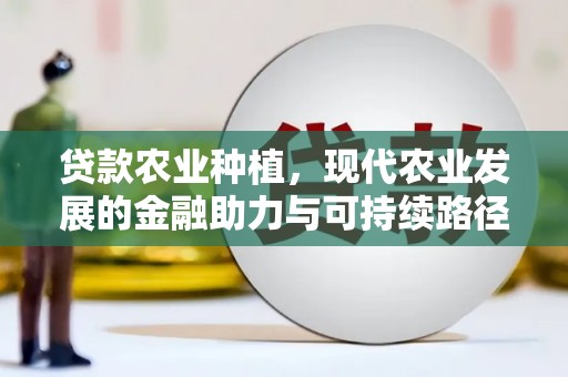 雨花贷款农业种植，现代农业发展的金融助力与可持续路径
