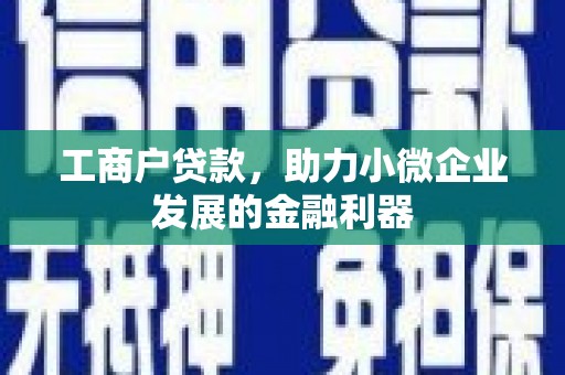 雨花工商户贷款，助力小微企业发展的金融利器