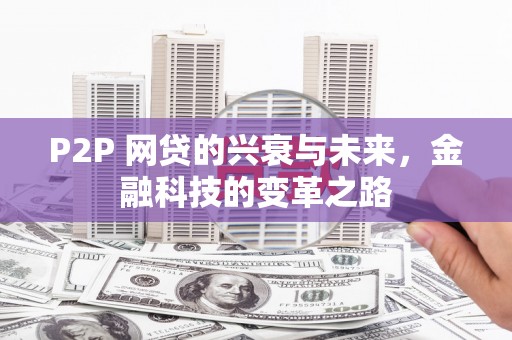雨花P2P 网贷的兴衰与未来，金融科技的变革之路