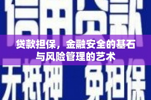 雨花贷款担保，金融安全的基石与风险管理的艺术