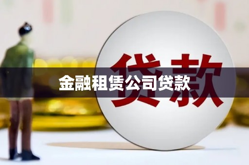雨花金融租赁公司贷款
