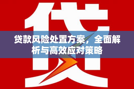 雨花贷款风险处置方案，全面解析与高效应对策略