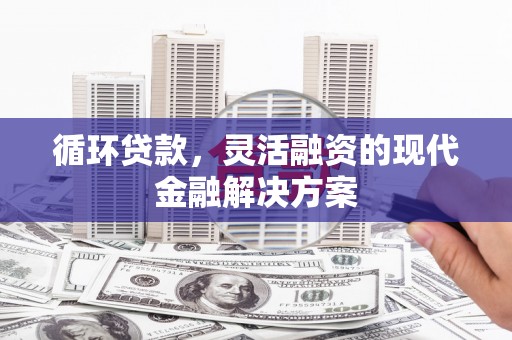雨花循环贷款，灵活融资的现代金融解决方案