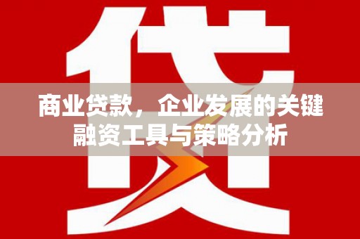 雨花商业贷款，企业发展的关键融资工具与策略分析