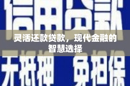 雨花灵活还款贷款，现代金融的智慧选择