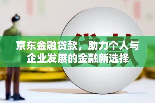 雨花京东金融贷款，助力个人与企业发展的金融新选择