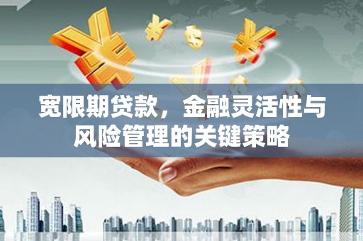 雨花宽限期贷款，金融灵活性与风险管理的关键策略