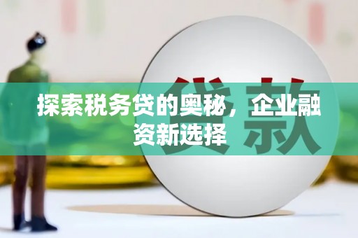 雨花探索税务贷的奥秘，企业融资新选择