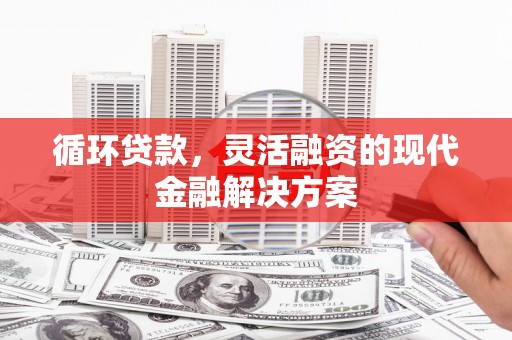 雨花循环贷款，灵活融资的现代金融解决方案