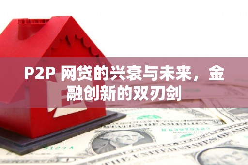 雨花P2P 网贷的兴衰与未来，金融创新的双刃剑