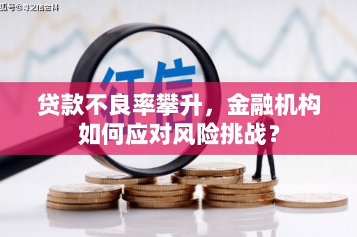 雨花贷款不良率攀升，金融机构如何应对风险挑战？