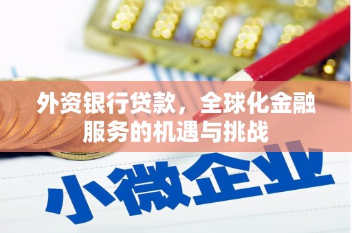 雨花外资银行贷款，全球化金融服务的机遇与挑战