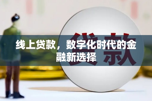雨花线上贷款，数字化时代的金融新选择