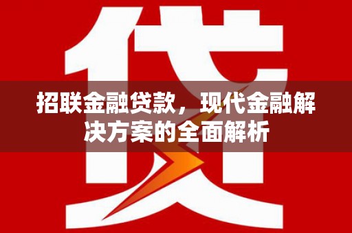 雨花招联金融贷款，现代金融解决方案的全面解析