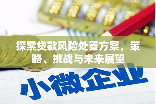 雨花探索贷款风险处置方案，策略、挑战与未来展望