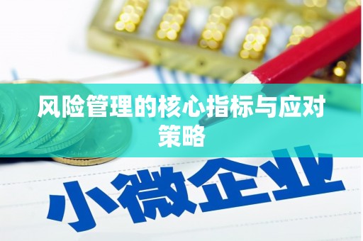 雨花风险管理的核心指标与应对策略