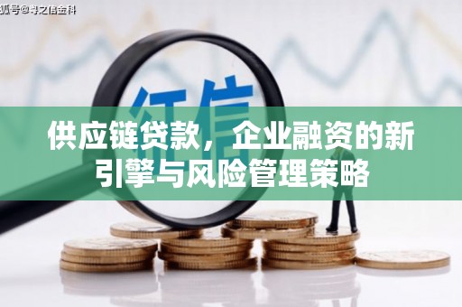 雨花供应链贷款，企业融资的新引擎与风险管理策略