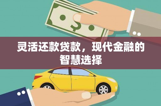 雨花灵活还款贷款，现代金融的智慧选择