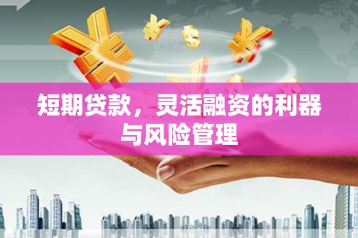 雨花短期贷款，灵活融资的利器与风险管理