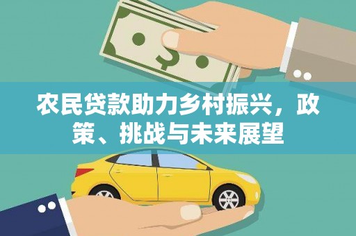 雨花农民贷款助力乡村振兴，政策、挑战与未来展望