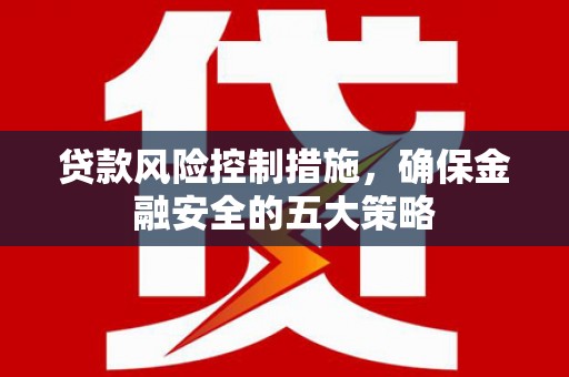 雨花贷款风险控制措施，确保金融安全的五大策略