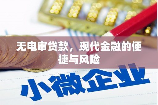 雨花无电审贷款，现代金融的便捷与风险