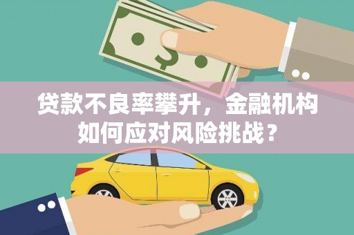 雨花贷款不良率攀升，金融机构如何应对风险挑战？
