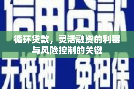 雨花循环贷款，灵活融资的利器与风险控制的关键