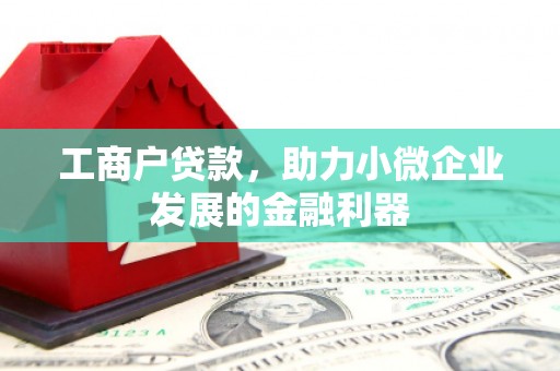 雨花工商户贷款，助力小微企业发展的金融利器