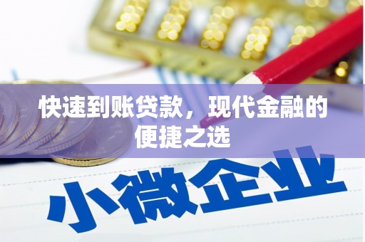 雨花快速到账贷款，现代金融的便捷之选