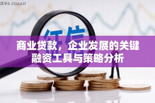 雨花商业贷款，企业发展的关键融资工具与策略分析