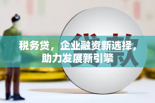 雨花税务贷，企业融资新选择，助力发展新引擎