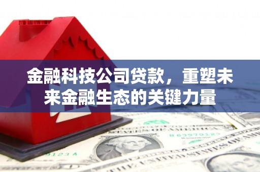 雨花金融科技公司贷款，重塑未来金融生态的关键力量