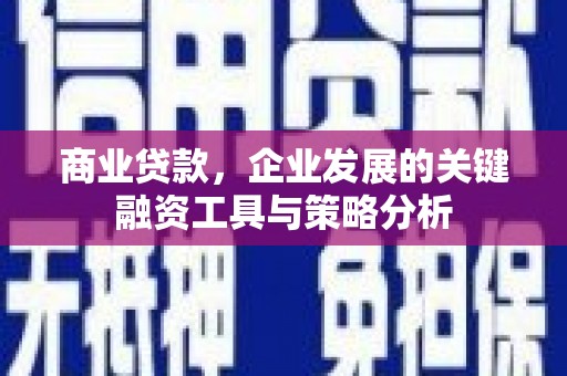 雨花商业贷款，企业发展的关键融资工具与策略分析