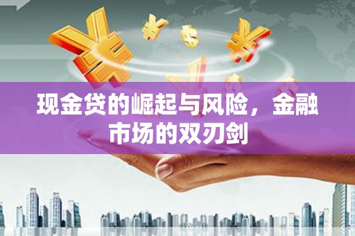 雨花现金贷的崛起与风险，金融市场的双刃剑