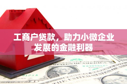 雨花工商户贷款，助力小微企业发展的金融利器