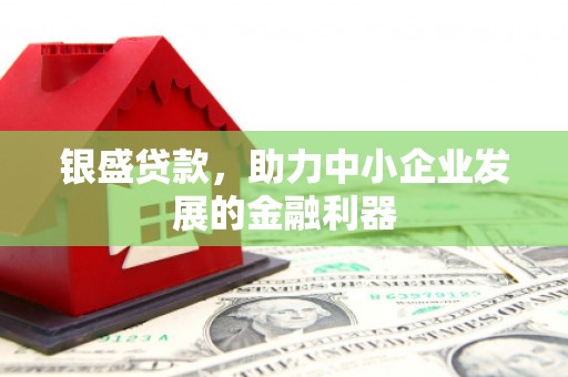 雨花银盛贷款，助力中小企业发展的金融利器