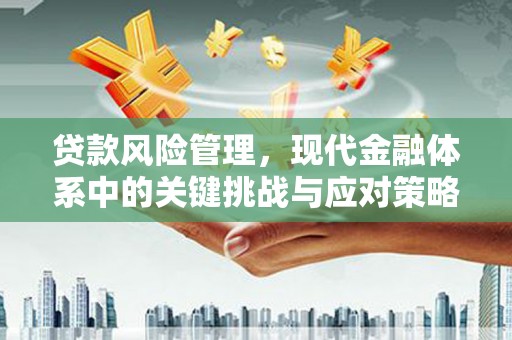 雨花贷款风险管理，现代金融体系中的关键挑战与应对策略