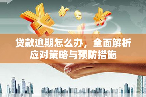 雨花贷款逾期怎么办，全面解析应对策略与预防措施