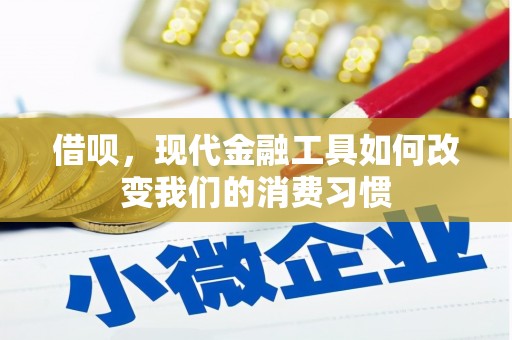 雨花借呗，现代金融工具如何改变我们的消费习惯