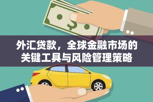 雨花外汇贷款，全球金融市场的关键工具与风险管理策略