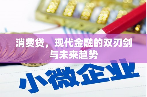雨花消费贷，现代金融的双刃剑与未来趋势