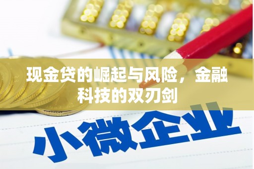雨花现金贷的崛起与风险，金融科技的双刃剑