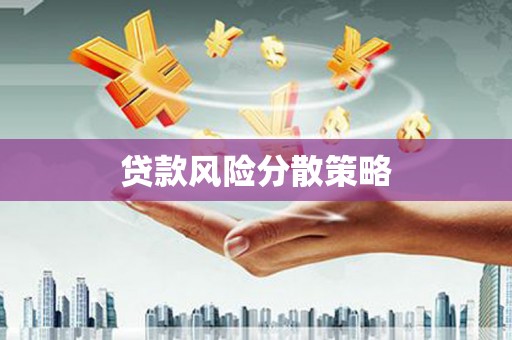 雨花贷款风险分散策略