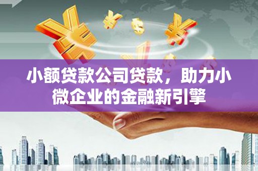 雨花小额贷款公司贷款，助力小微企业的金融新引擎