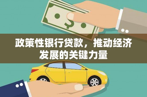 雨花政策性银行贷款，推动经济发展的关键力量