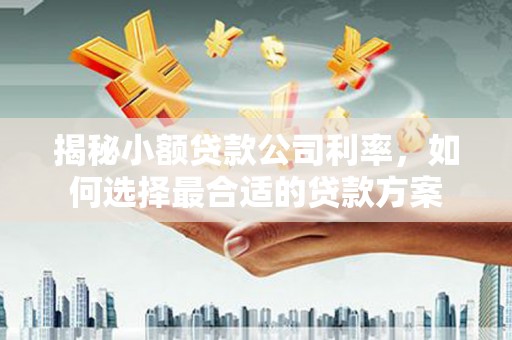 雨花揭秘小额贷款公司利率，如何选择最合适的贷款方案