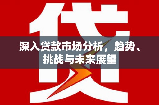 雨花深入贷款市场分析，趋势、挑战与未来展望