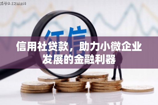雨花信用社贷款，助力小微企业发展的金融利器